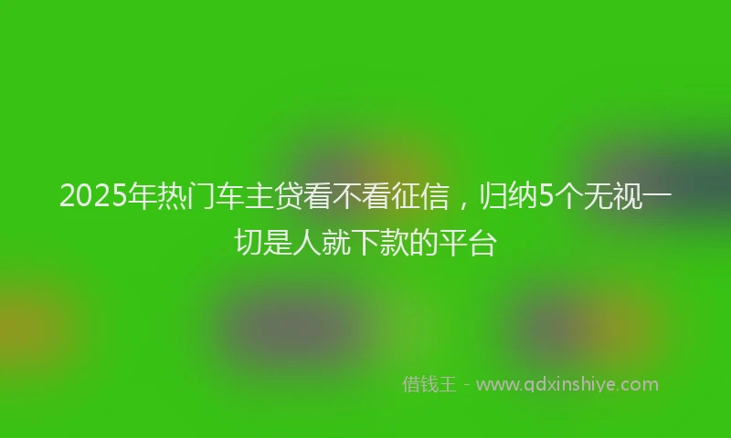 2025年热门车主贷看不看征信,归纳5个无视一切是人就下款的平台