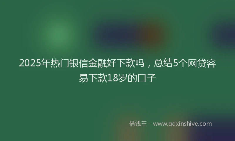 2025年热门银信金融好下款吗,总结5个网贷容易下款18岁的口子