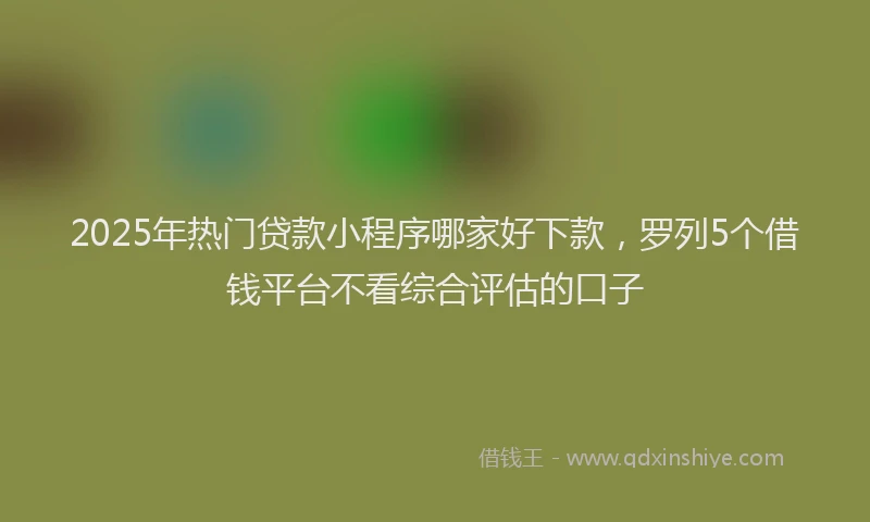 2025年热门贷款小程序哪家好下款,罗列5个借钱平台不看综合评估的口子