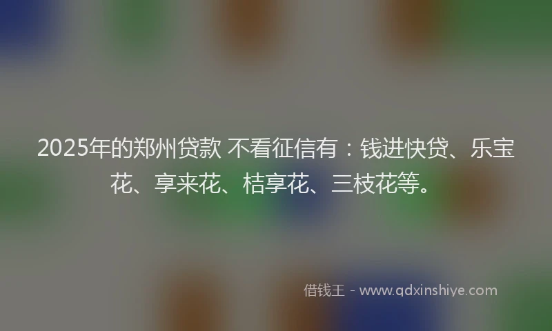 2025年的郑州贷款 不看征信有:钱进快贷、乐宝花、享来花、桔享花、三枝花等。