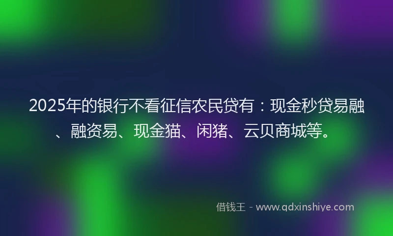 2025年的银行不看征信农民贷有：现金秒贷易融、融资易、现金猫、闲猪、云贝商城等。