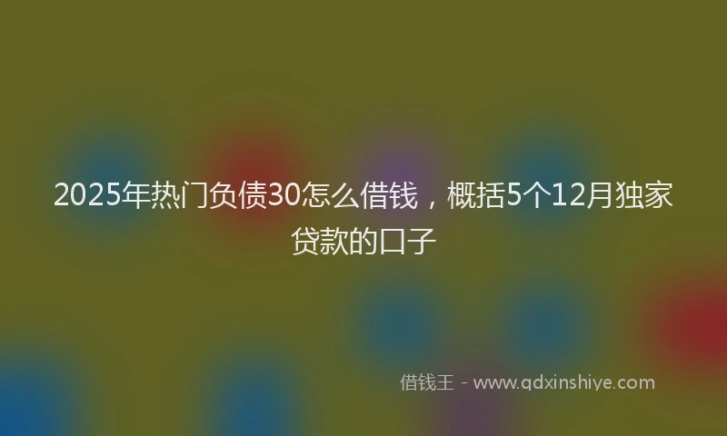 2025年热门负债30怎么借钱，概括5个12月独家贷款的口子