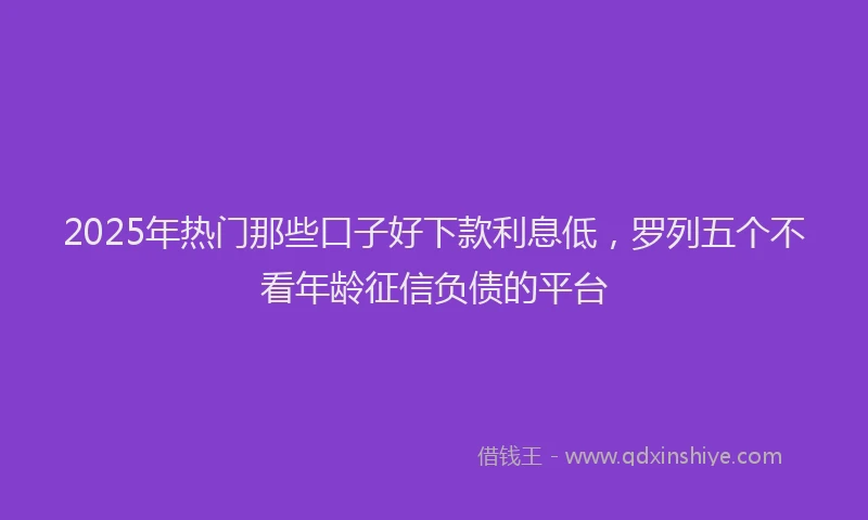 2025年热门那些口子好下款利息低，罗列五个不看年龄征信负债的平台