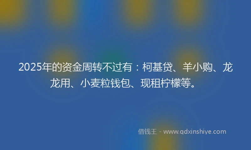 2025年的资金周转不过有:柯基贷、羊小购、龙龙用、小麦粒钱包、现租柠檬等。