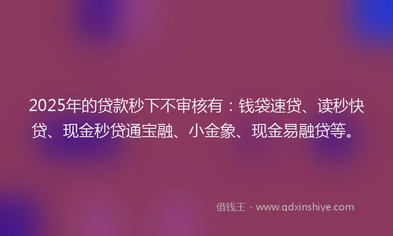 2025年的贷款秒下不审核有：钱袋速贷、读秒快贷、现金秒贷通宝融、小金象、现金易融贷等。