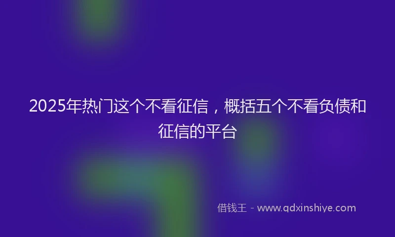 2025年热门这个不看征信,概括五个不看负债和征信的平台