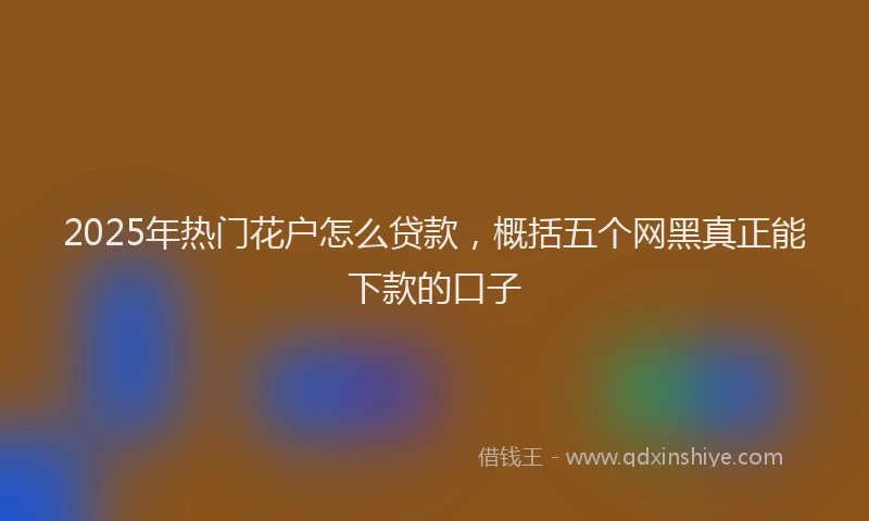 2025年热门花户怎么贷款,概括五个网黑真正能下款的口子