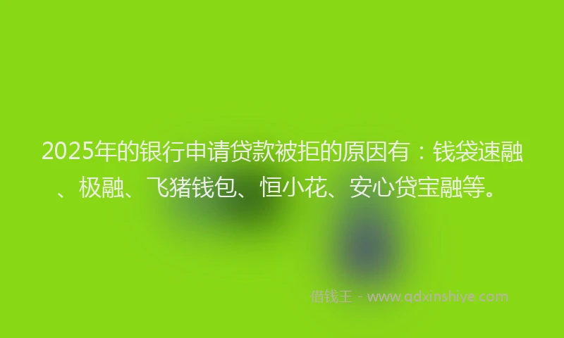 2025年的银行申请贷款被拒的原因有:钱袋速融、极融、飞猪钱包、恒小花、安心贷宝融等。