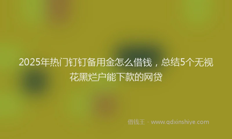 2025年热门钉钉备用金怎么借钱,总结5个无视花黑烂户能下款的网贷