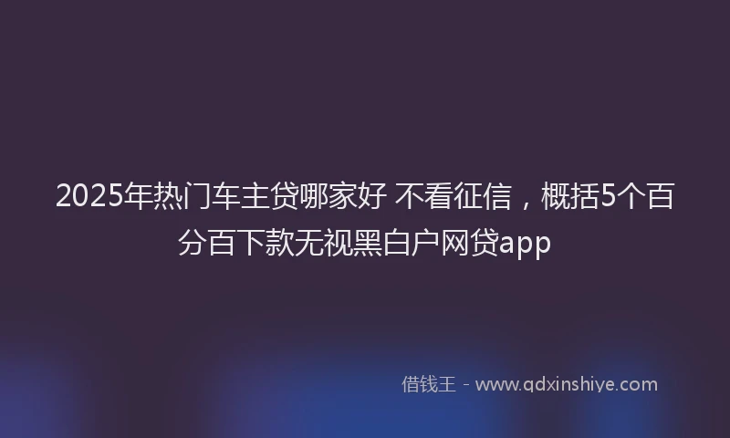 2025年热门车主贷哪家好 不看征信,概括5个百分百下款无视黑白户网贷app
