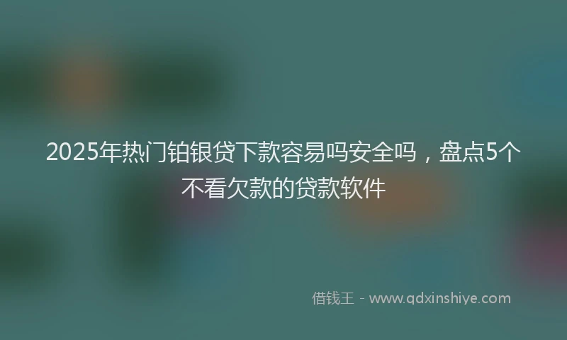 2025年热门铂银贷下款容易吗安全吗，盘点5个不看欠款的贷款软件