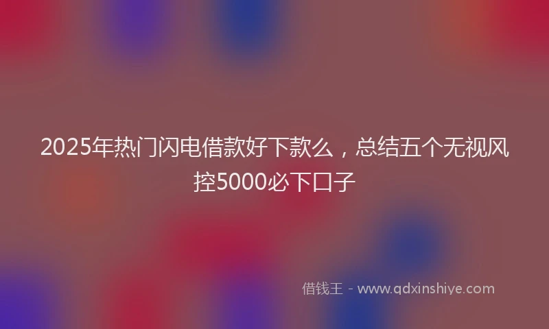 2025年热门闪电借款好下款么,总结五个无视风控5000必下口子