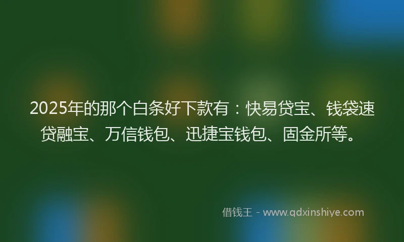 2025年的那个白条好下款有：快易贷宝、钱袋速贷融宝、万信钱包、迅捷宝钱包、固金所等。