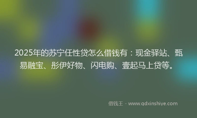 2025年的苏宁任性贷怎么借钱有：现金驿站、甄易融宝、彤伊好物、闪电购、壹起马上贷等。