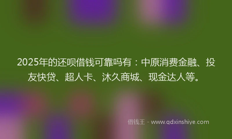 2025年的还呗借钱可靠吗有：中原消费金融、投友快贷、超人卡、沐久商城、现金达人等。