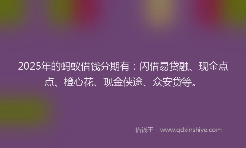 2025年的蚂蚁借钱分期有:闪借易贷融、现金点点、橙心花、现金侠途、众安贷等。