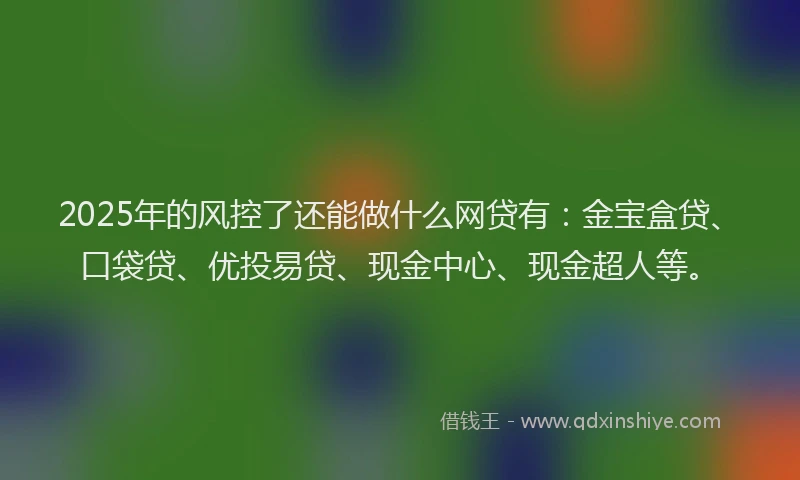 2025年的风控了还能做什么网贷有：金宝盒贷、口袋贷、优投易贷、现金中心、现金超人等。