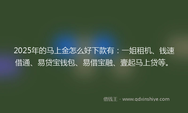 2025年的马上金怎么好下款有：一姐租机、钱速借通、易贷宝钱包、易借宝融、壹起马上贷等。