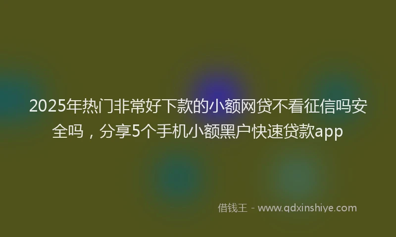 2025年热门非常好下款的小额网贷不看征信吗安全吗，分享5个手机小额黑户快速贷款app