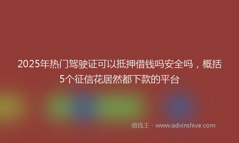 2025年热门驾驶证可以抵押借钱吗安全吗,概括5个征信花居然都下款的平台