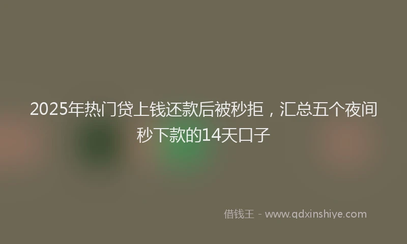 2025年热门贷上钱还款后被秒拒，汇总五个夜间秒下款的14天口子