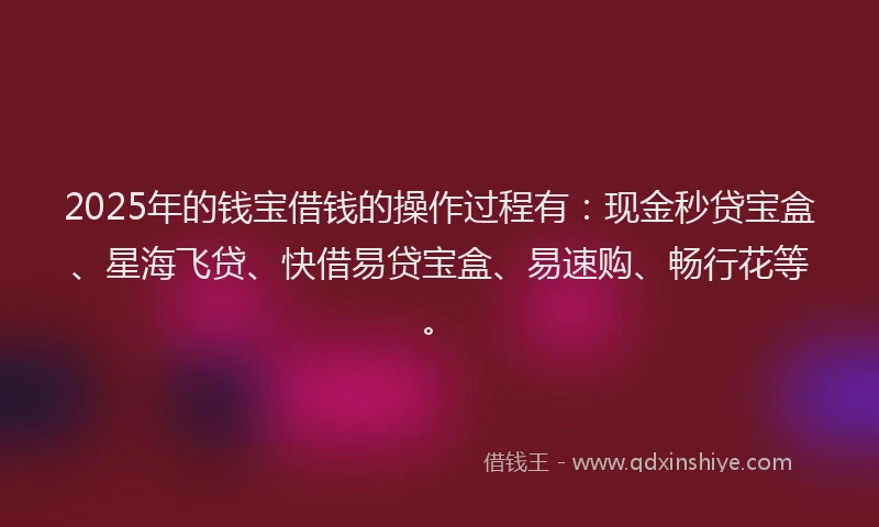 2025年的钱宝借钱的操作过程有：现金秒贷宝盒、星海飞贷、快借易贷宝盒、易速购、畅行花等。