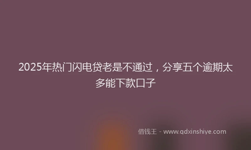 2025年热门闪电贷老是不通过，分享五个逾期太多能下款口子