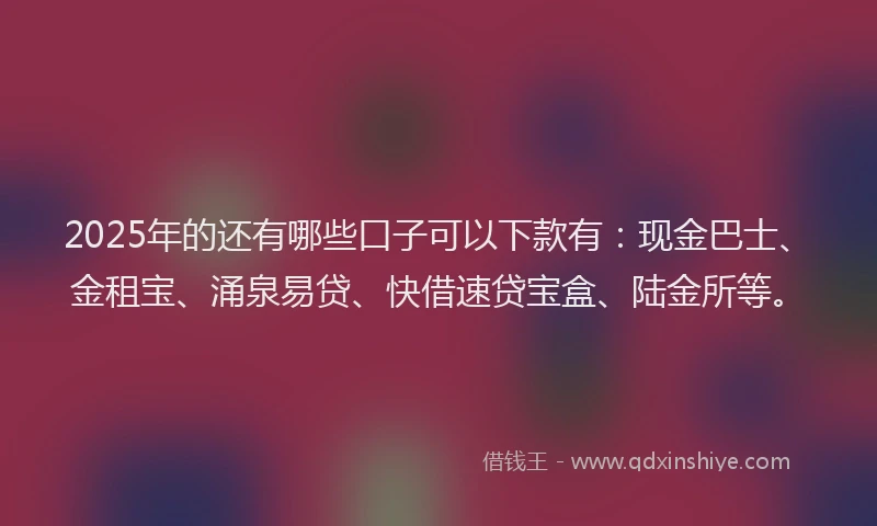 2025年的还有哪些口子可以下款有：现金巴士、金租宝、涌泉易贷、快借速贷宝盒、陆金所等。