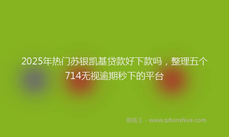 2025年热门苏银凯基贷款好下款吗，整理五个714无视逾期秒下的平台