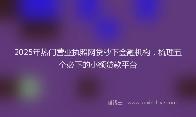 2025年热门营业执照网贷秒下金融机构，梳理五个必下的小额贷款平台