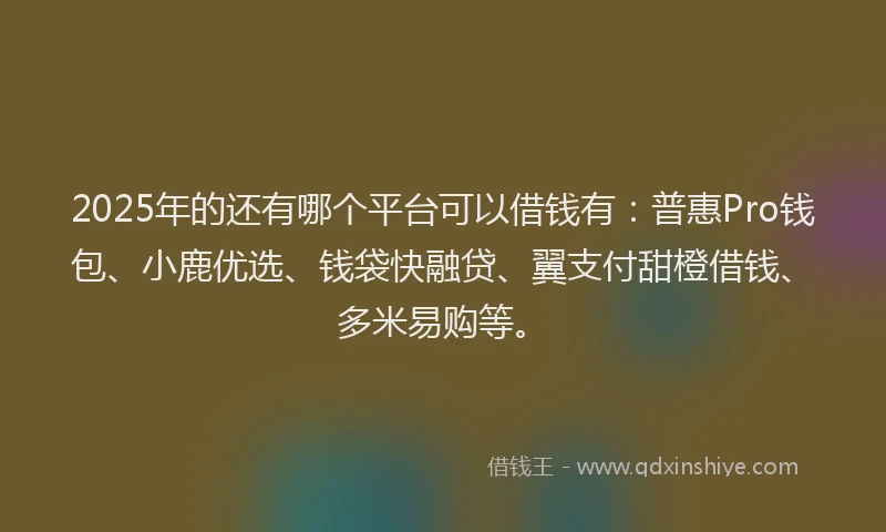 2025年的还有哪个平台可以借钱有：普惠Pro钱包、小鹿优选、钱袋快融贷、翼支付甜橙借钱、多米易购等。