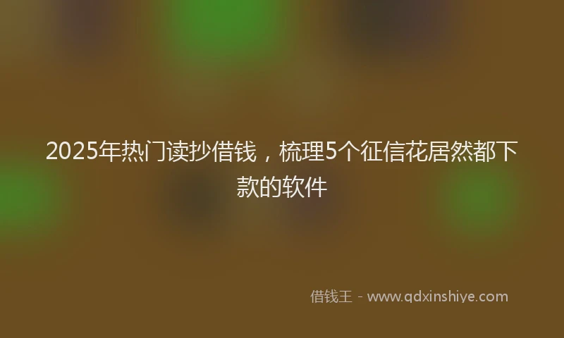 2025年热门读抄借钱，梳理5个征信花居然都下款的软件