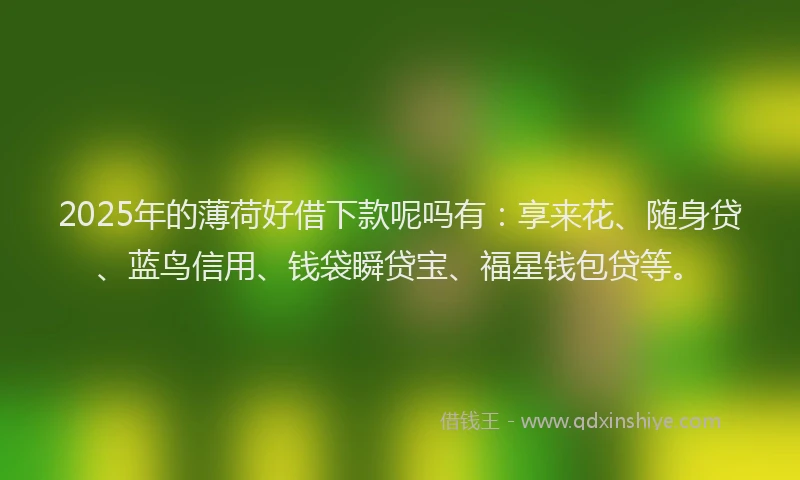 2025年的薄荷好借下款呢吗有：享来花、随身贷、蓝鸟信用、钱袋瞬贷宝、福星钱包贷等。