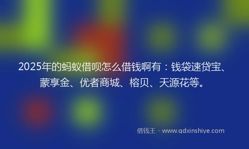 2025年的蚂蚁借呗怎么借钱啊有：钱袋速贷宝、蒙享金、优者商城、榕贝、天源花等。