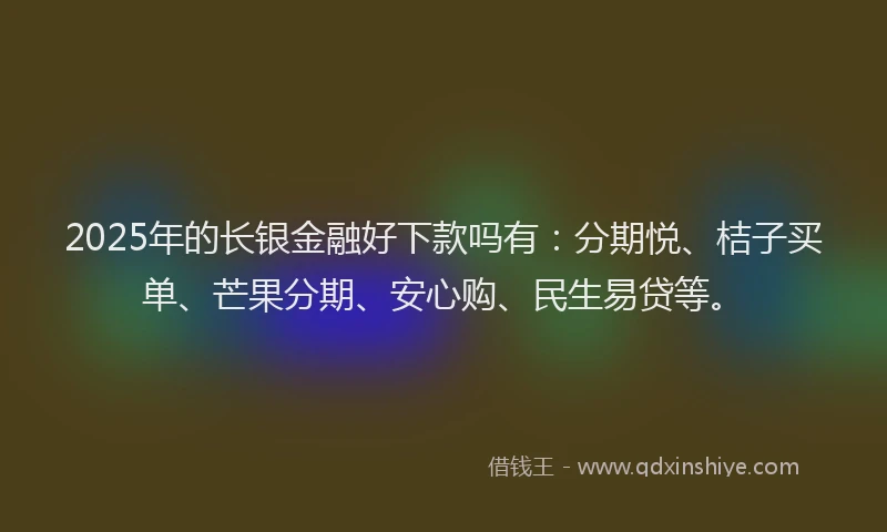 2025年的长银金融好下款吗有：分期悦、桔子买单、芒果分期、安心购、民生易贷等。