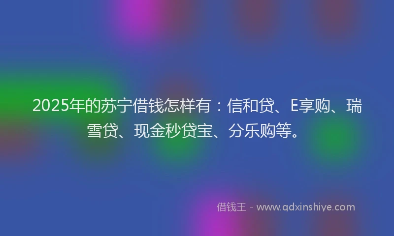 2025年的苏宁借钱怎样有:信和贷、E享购、瑞雪贷、现金秒贷宝、分乐购等。
