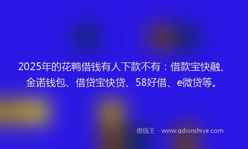 2025年的花鸭借钱有人下款不有：借款宝快融、金诺钱包、借贷宝快贷、58好借、e微贷等。