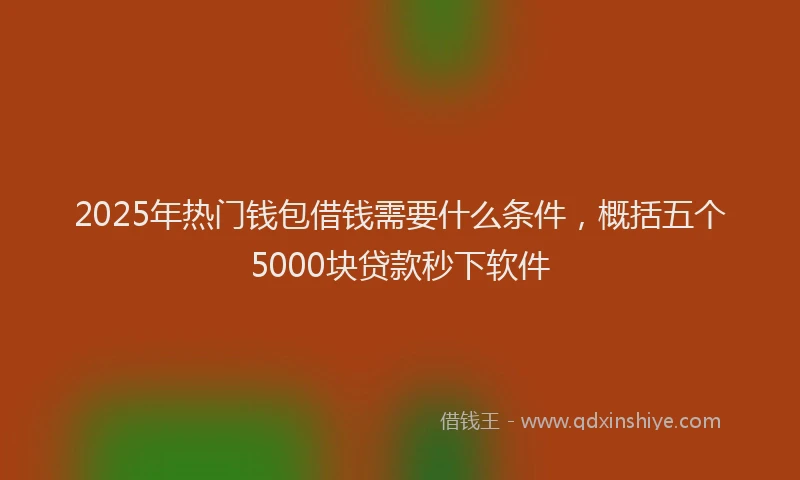 2025年热门钱包借钱需要什么条件,概括五个5000块贷款秒下软件