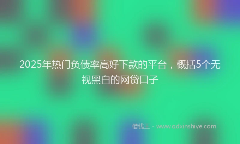 2025年热门负债率高好下款的平台，概括5个无视黑白的网贷口子
