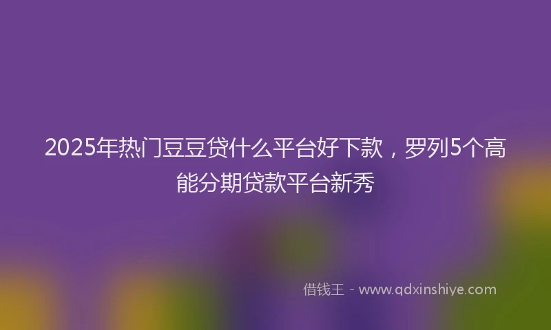 2025年热门豆豆贷什么平台好下款，罗列5个高能分期贷款平台新秀