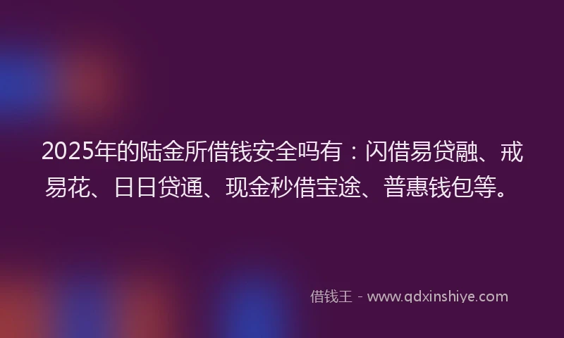 2025年的陆金所借钱安全吗有：闪借易贷融、戒易花、日日贷通、现金秒借宝途、普惠钱包等。
