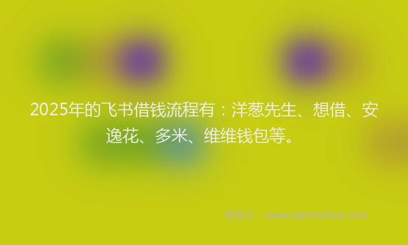 2025年的飞书借钱流程有:洋葱先生、想借、安逸花、多米、维维钱包等。