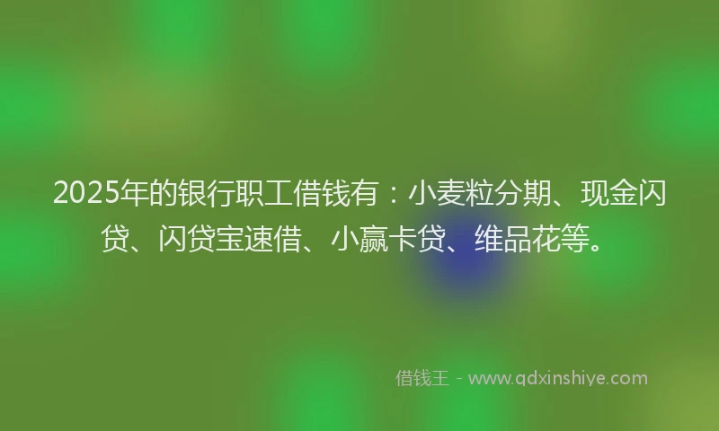 2025年的银行职工借钱有:小麦粒分期、现金闪贷、闪贷宝速借、小赢卡贷、维品花等。