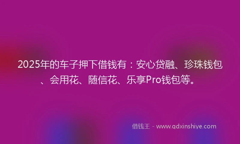 2025年的车子押下借钱有：安心贷融、珍珠钱包、会用花、随信花、乐享Pro钱包等。