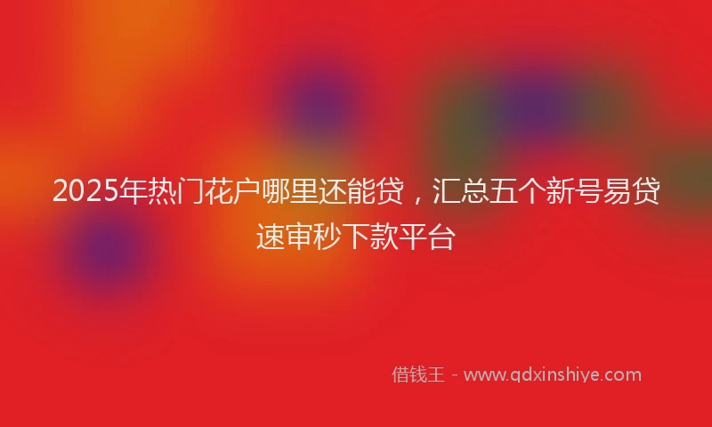 2025年热门花户哪里还能贷，汇总五个新号易贷速审秒下款平台