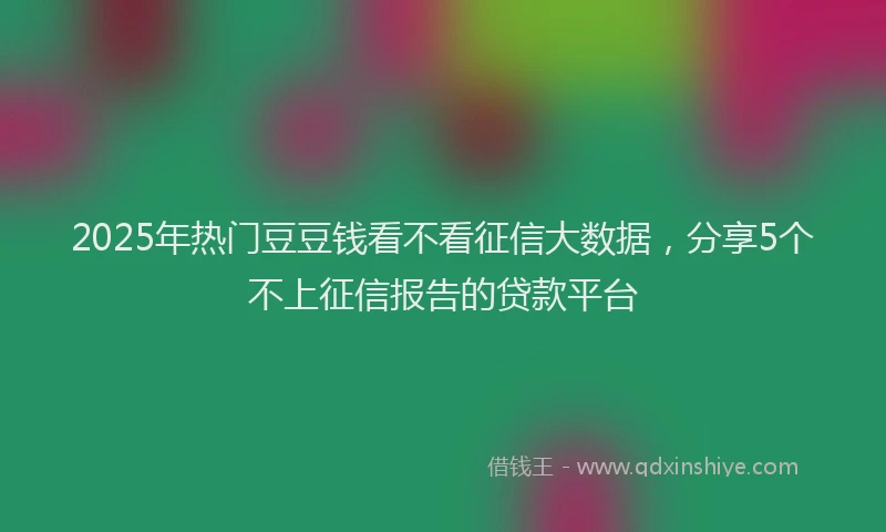 2025年热门豆豆钱看不看征信大数据，分享5个不上征信报告的贷款平台