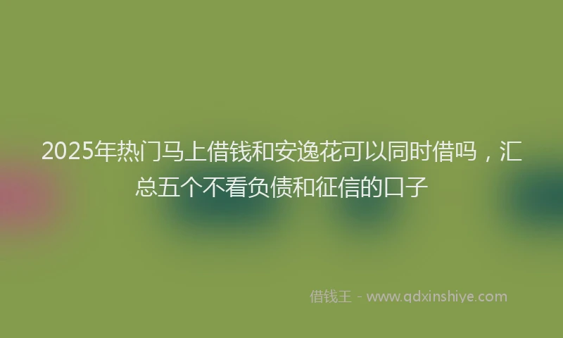 2025年热门马上借钱和安逸花可以同时借吗，汇总五个不看负债和征信的口子
