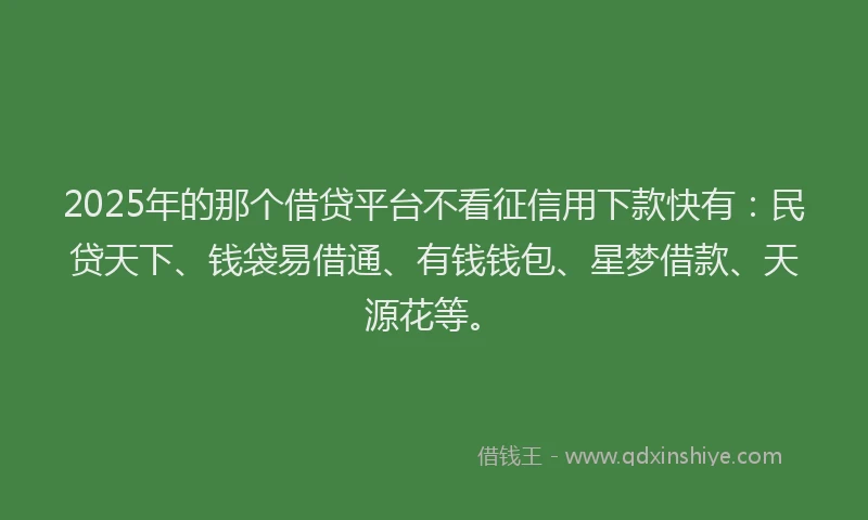2025年的那个借贷平台不看征信用下款快有：民贷天下、钱袋易借通、有钱钱包、星梦借款、天源花等。