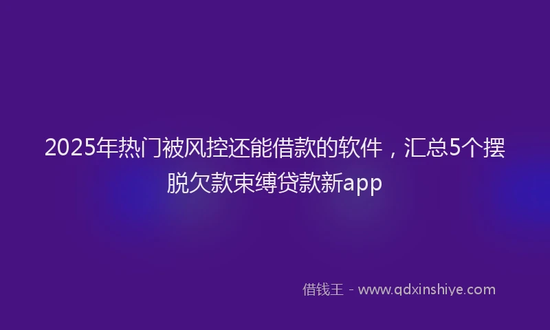 2025年热门被风控还能借款的软件，汇总5个摆脱欠款束缚贷款新app