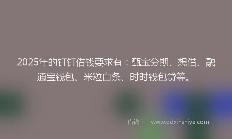 2025年的钉钉借钱要求有:甄宝分期、想借、融通宝钱包、米粒白条、时时钱包贷等。